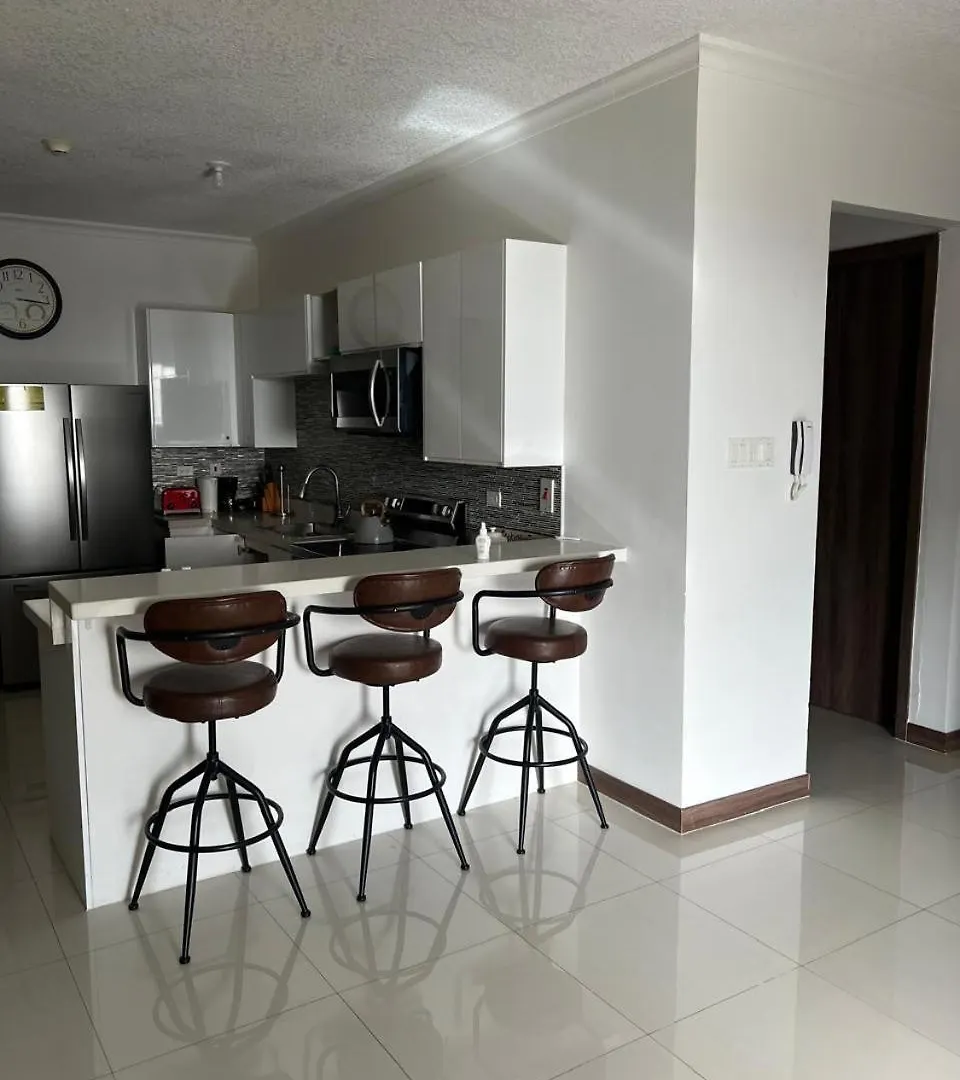 Modern and Elegant Apartment Kingston